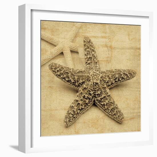Starfish-John Seba-Framed Photo