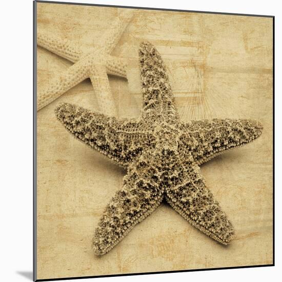 Starfish-John Seba-Mounted Photo