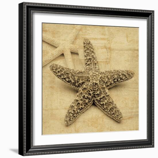 Starfish-John Seba-Framed Photo