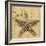 Starfish-John Seba-Framed Photo