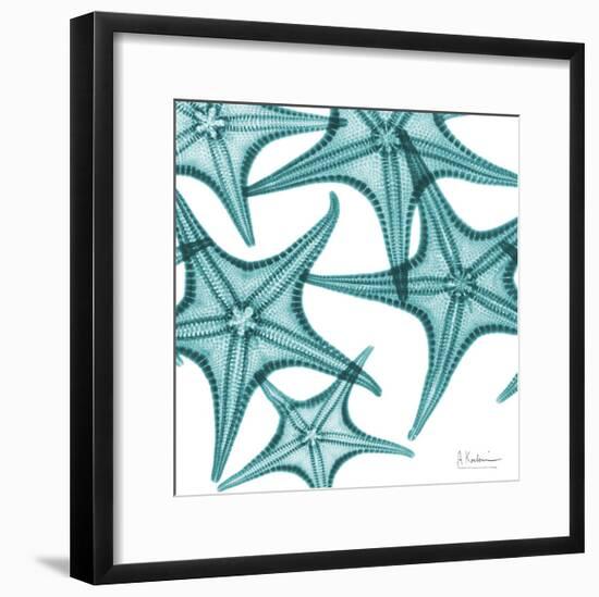 Starfishes-Albert Koetsier-Framed Premium Giclee Print