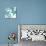 Starfishes-Albert Koetsier-Mounted Premium Giclee Print displayed on a wall