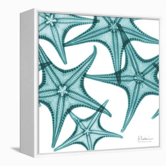 Starfishes-Albert Koetsier-Framed Stretched Canvas