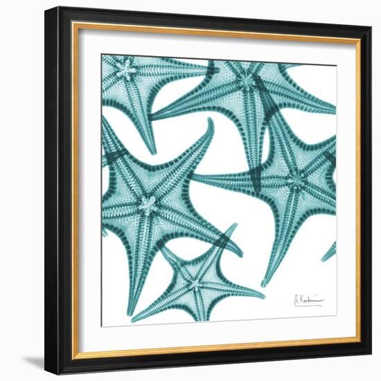 Starfishes-Albert Koetsier-Framed Art Print