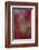 Stargazer Lily Abstract-Anna Miller-Framed Photographic Print