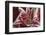 Stargazer Lily Abstract-Anna Miller-Framed Photographic Print