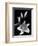 Stargazer Lily Study-Anna Miller-Framed Photographic Print