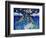 Stargazing Narwhals-Wyanne-Framed Giclee Print