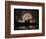 Stargazing-Julie Fain-Framed Art Print