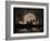 Stargazing-Julie Fain-Framed Art Print