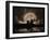 Stargazing-Julie Fain-Framed Art Print