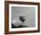 Staring At The Beach-János Huszti-Framed Art Print