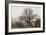 Stark Branches of a Dead Juniper in the Organ Mountains, Southern New Mexico-null-Framed Photographic Print