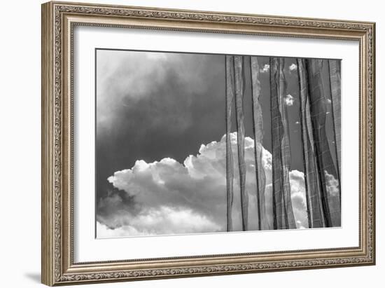 Stark Nature-Andrew Geiger-Framed Giclee Print