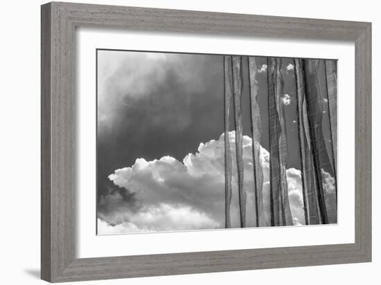 Stark Nature-Andrew Geiger-Framed Giclee Print