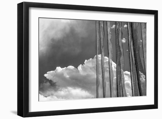 Stark Nature-Andrew Geiger-Framed Giclee Print