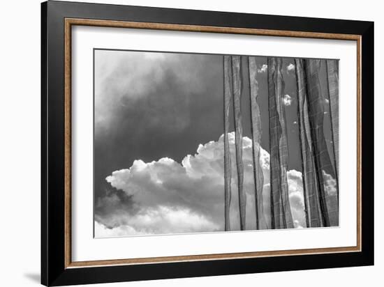 Stark Nature-Andrew Geiger-Framed Giclee Print