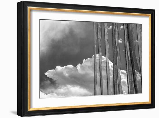 Stark Nature-Andrew Geiger-Framed Giclee Print