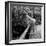 Starlet Marilyn Monroe-Ed Clark-Framed Photographic Print