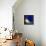 Starlight, 2012-Nancy Moniz-Framed Premier Image Canvas displayed on a wall