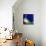 Starlight, 2012-Nancy Moniz-Giclee Print displayed on a wall