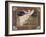 Starlight-Robin Betterley-Framed Giclee Print