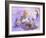 Starlight-Judy Mastrangelo-Framed Giclee Print