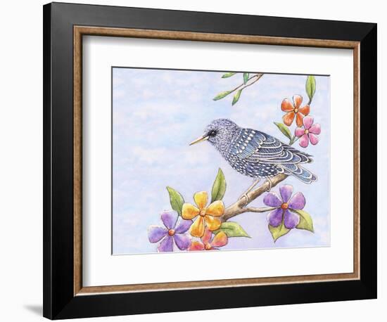 Starling Bird with Flowers-Michelle Faber-Framed Giclee Print