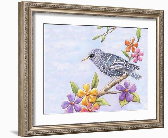 Starling Bird with Flowers-Michelle Faber-Framed Giclee Print