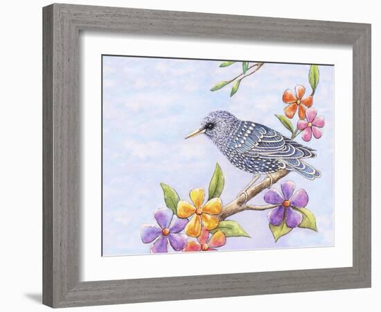 Starling Bird with Flowers-Michelle Faber-Framed Giclee Print
