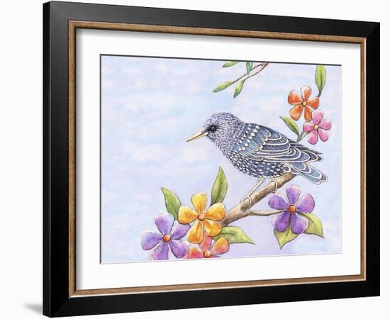 Starling Bird with Flowers-Michelle Faber-Framed Giclee Print