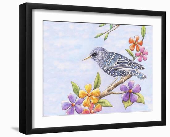 Starling Bird with Flowers-Michelle Faber-Framed Giclee Print