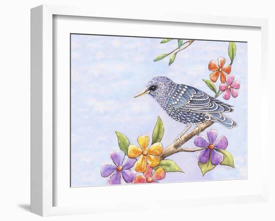 Starling Bird with Flowers-Michelle Faber-Framed Giclee Print