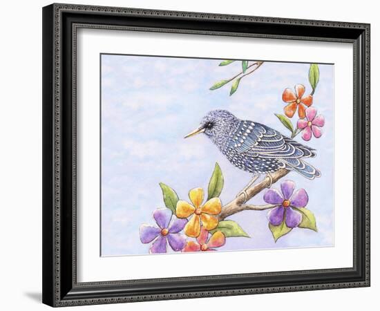 Starling Bird with Flowers-Michelle Faber-Framed Giclee Print