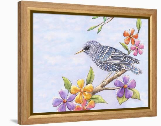 Starling Bird with Flowers-Michelle Faber-Framed Premier Image Canvas