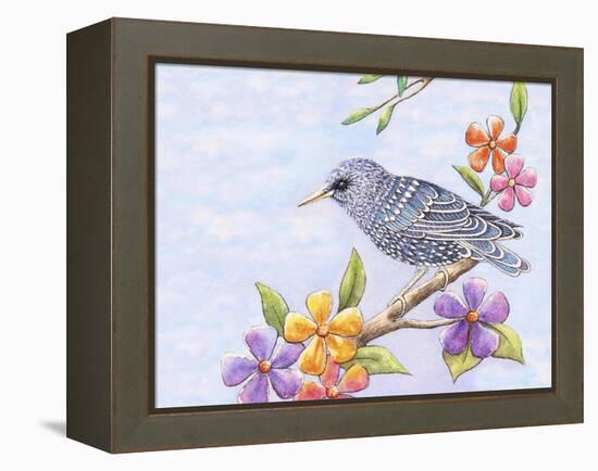 Starling Bird with Flowers-Michelle Faber-Framed Premier Image Canvas