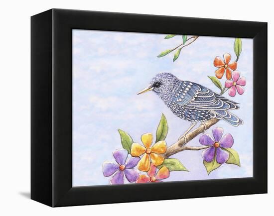 Starling Bird with Flowers-Michelle Faber-Framed Premier Image Canvas