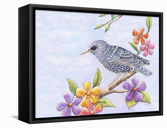 Starling Bird with Flowers-Michelle Faber-Framed Premier Image Canvas