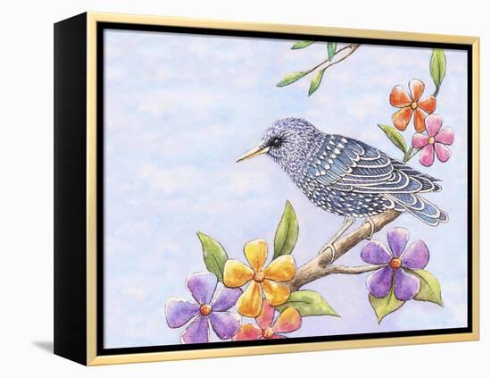 Starling Bird with Flowers-Michelle Faber-Framed Premier Image Canvas