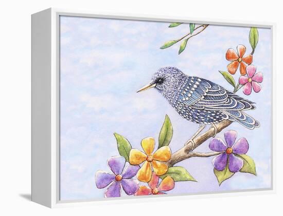 Starling Bird with Flowers-Michelle Faber-Framed Premier Image Canvas