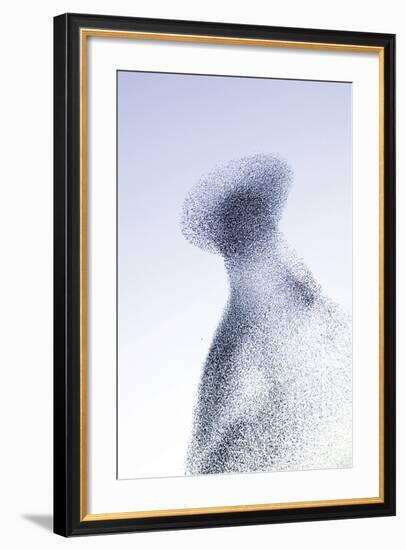 Starling Flock and Peregrine Falcon Immense Flock-null-Framed Photographic Print