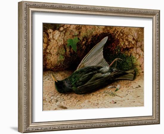 Starling-John Atkinson Grimshaw-Framed Giclee Print