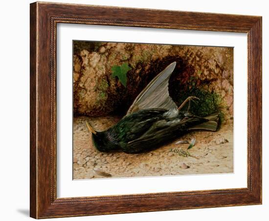 Starling-John Atkinson Grimshaw-Framed Giclee Print