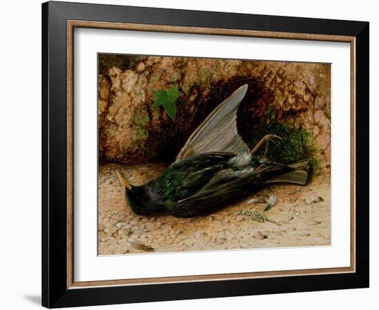 Starling-John Atkinson Grimshaw-Framed Giclee Print