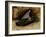 Starling-John Atkinson Grimshaw-Framed Giclee Print