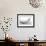 Starlings-null-Framed Photographic Print displayed on a wall