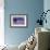 Starnberger See-null-Framed Giclee Print displayed on a wall