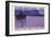 Starnberger See-null-Framed Giclee Print