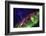 Starry Evening with the Aurora Borealis or Northern Lights and the Milky Way Galaxy, Abisko-null-Framed Photographic Print