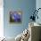 Starry Night 1-Howie Green-Framed Premier Image Canvas displayed on a wall